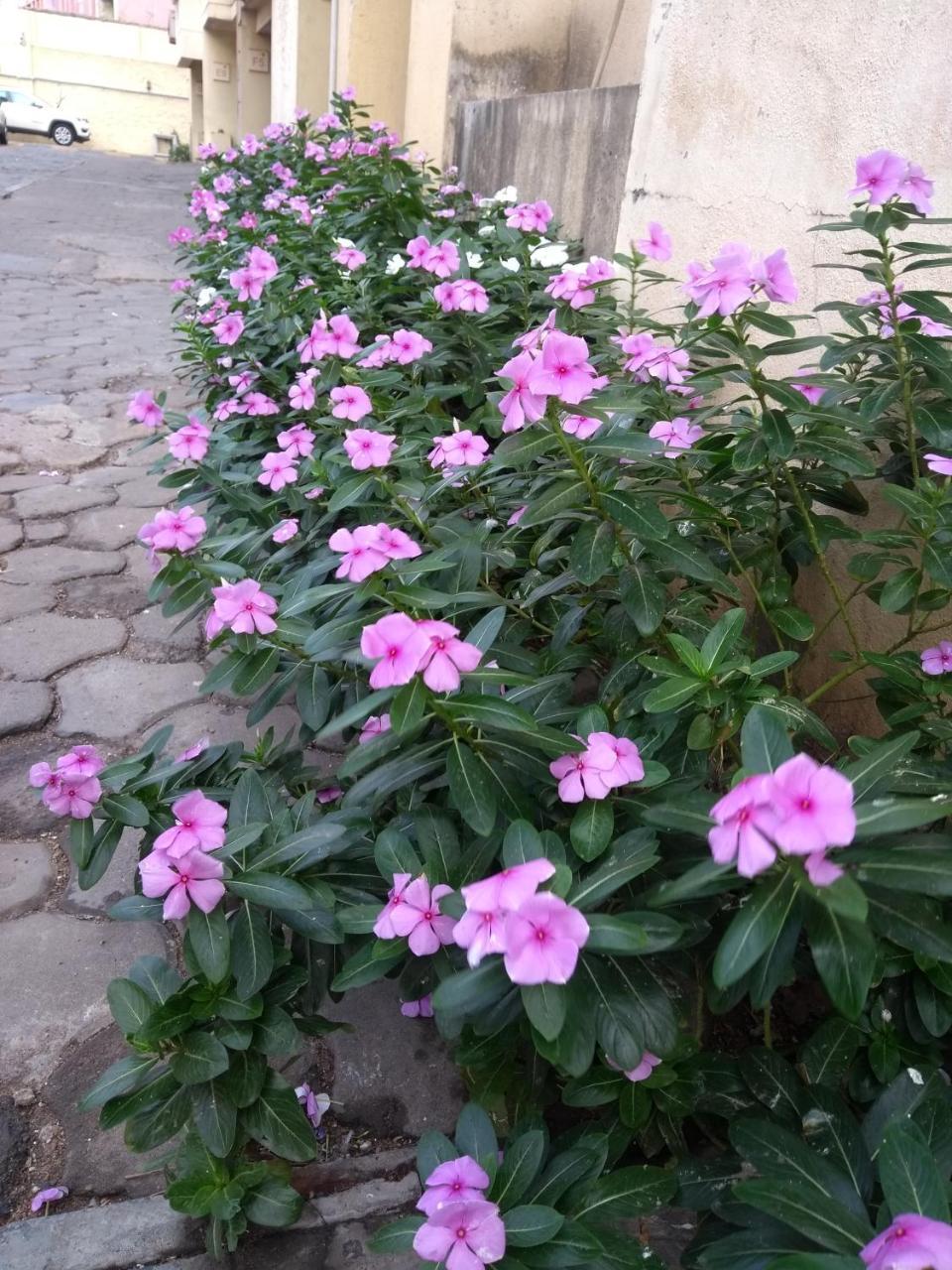 Beach Penthouse, Chennai Bed & Breakfast Екстериор снимка